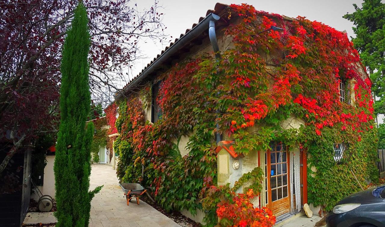 Le Mas Des Abeilles - Chambres D'Hotes En Drome Provencale La Bégude-de-Mazenc Екстериор снимка